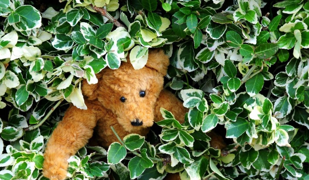 Wicked Wednesdays We're going on a bear hunt! The Exeter Daily